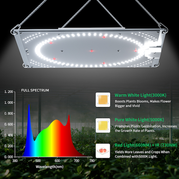 Full Spectrum Patented 100W 200W 300W Board LED Grow Light with Uniform Light Distribution